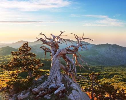 PArco Nazionale del Pollino